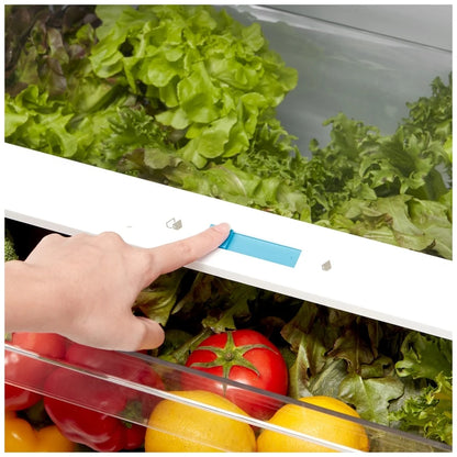 Midea MRT14D2BST 14 Cu. Ft. Top Freezer Refrigerator – Stainless Steel